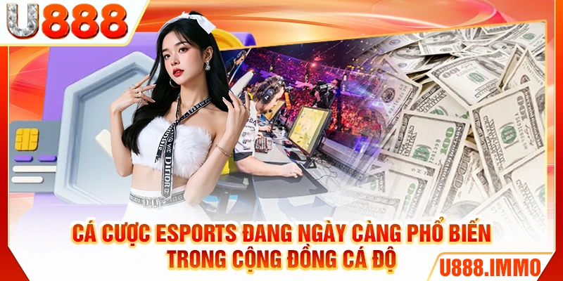 Cá cược esports đang ngày càng phổ biến trong cộng đồng cá độ