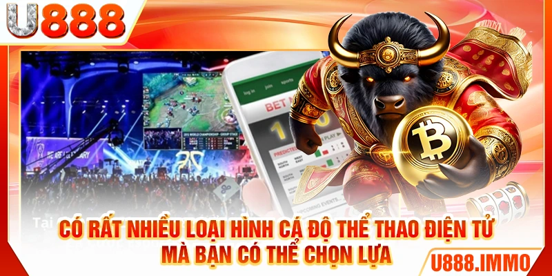 Có rất nhiều loại hình cá độ thể thao điện tử mà bạn có thể chọn lựa